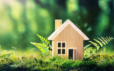 Radiesthésie et lieu de vie : écouter l’énergie de sa maison